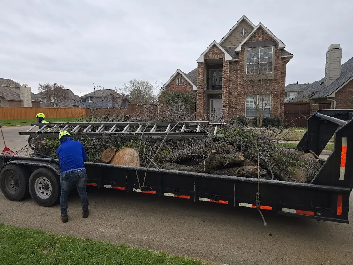 Expert Tree Removal with proper safety equipment in Greenville